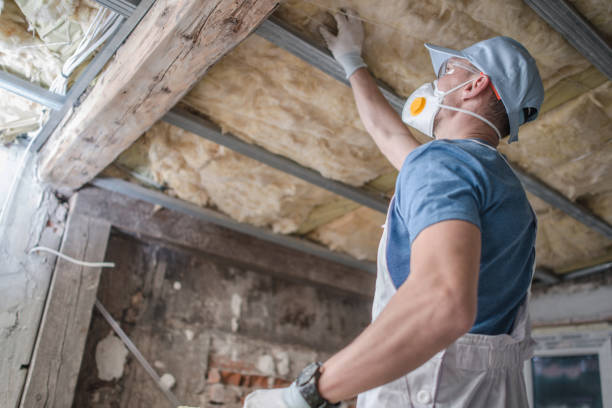 Attic Insulation Near Me in South Haven, MI